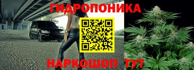 СК Пушкино
