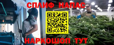 молекула духа Пугачёв