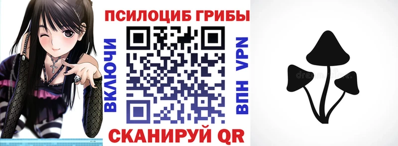 Галлюциногенные грибы Cubensis  ОМГ ОМГ   Тейково 