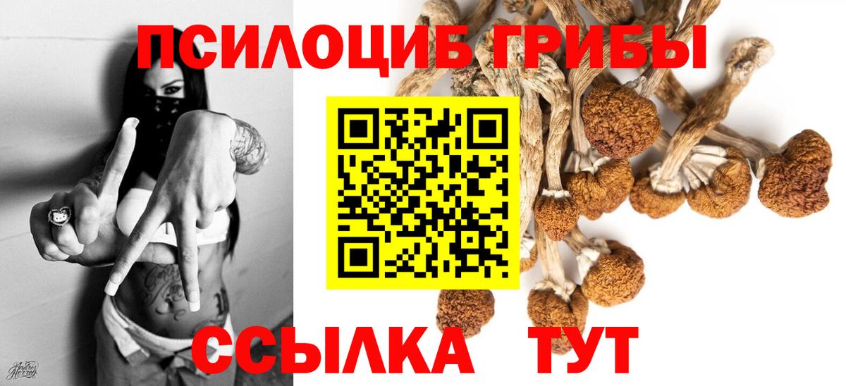 Галлюциногенные грибы MAGIC MUSHROOMS Тейково