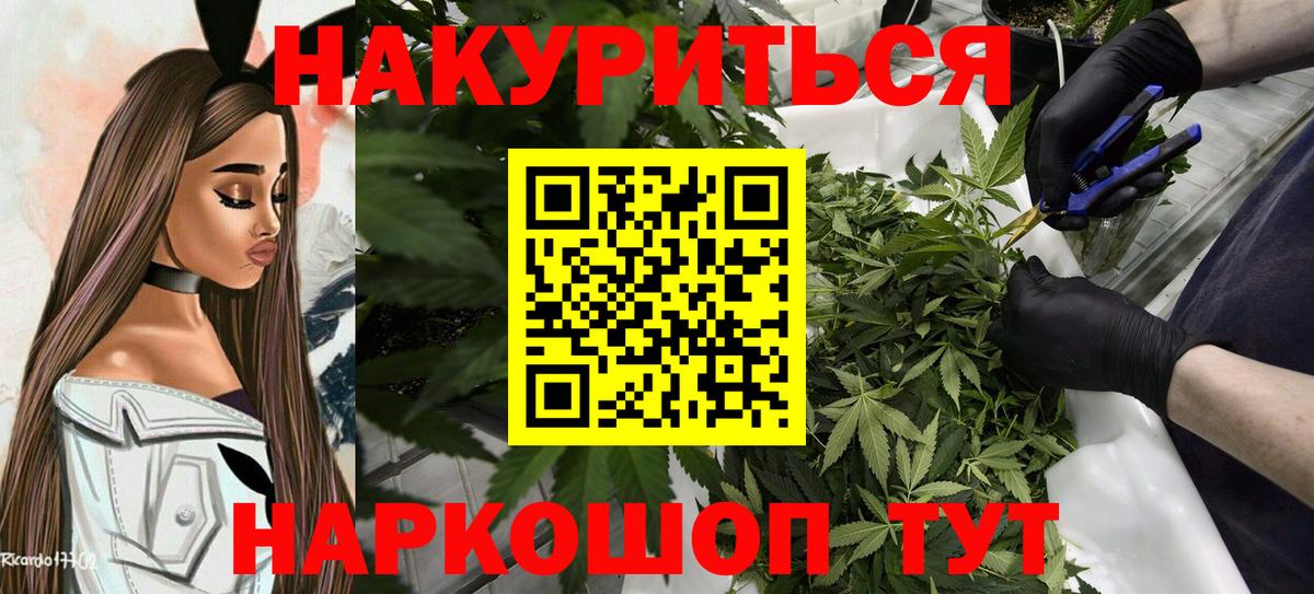 Бошки Шишки семена  Канабис ГИДРОПОН  Тейково  Вход с VPN  Марихуана конопля  МАРИХУАНА Bruce Banner 